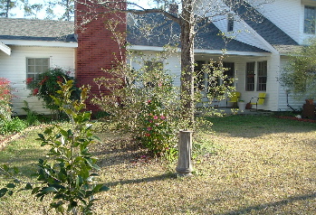 the wide view of the back porch