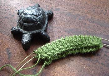 cuff and turtle