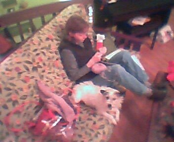 overhead view of me knitting on the couch with Rosie the Jack Russel sitting beside me
