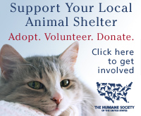 200x165_hsus_support_local_shelters_cat