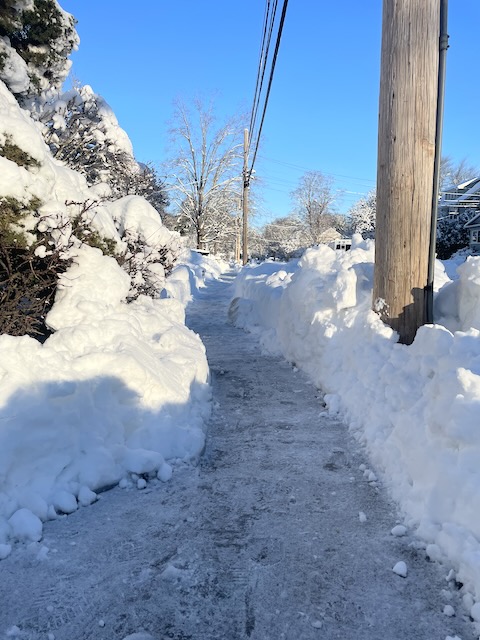 a view of a cleared sidewalk with three feet of snow piled to each side