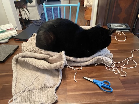 black cat taking up all the room on a sweater that is being seamed