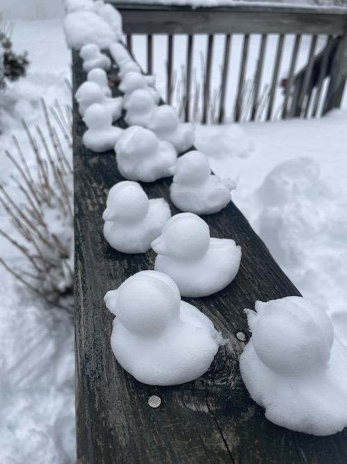 about a dozen snow ducks arranges in ranks on the porch rail